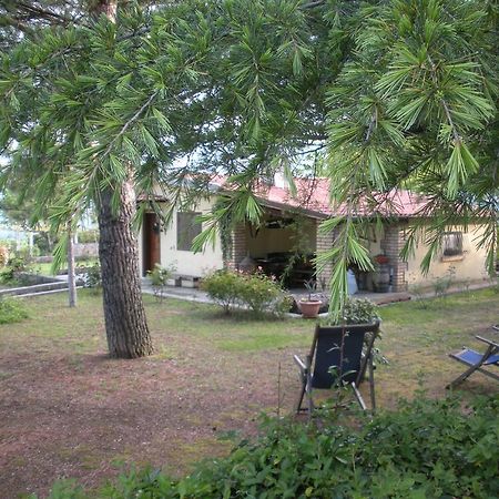 Le Stagioni Guest House Loreto Aprutino Exterior foto
